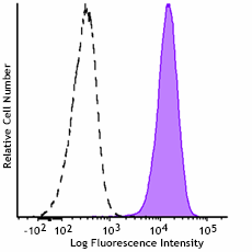 GMP PE anti-human CD13 Antibody (260196)