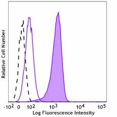 Alexa Fluor® 647 anti-γ-Catenin Antibody (946403)