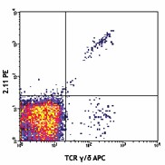 PE anti-mouse TCR Vγ1.1/Cr4 Antibody (141105)