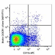 Biotin anti-mouse CX3CR1 Antibody (149018)