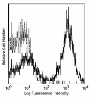 PE anti-mouse I-Ak (Aβk) Antibody (109908)