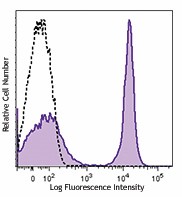 PE anti-rat IgG2a Antibody (407507)
