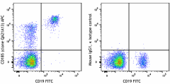 APC anti-human CD185 (CXCR5) Recombinant Antibody (382403)
