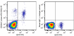 PE anti-human CD32B/C Antibody (398403)
