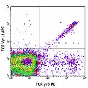 APC anti-mouse TCR Vγ1.1/Cr4 Antibody (141107)