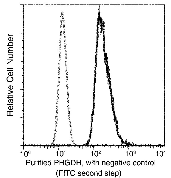 PGDH/PHGDH Monoclonal Antibody (AN200135P)
