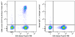 Brilliant Violet 605™ anti-human CD8b Antibody (387315)