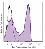 Brilliant Violet 711™ anti-mouse CD62L Antibody (104445)