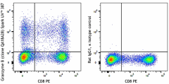 Spark UV™ 387 anti-human/mouse Granzyme B Recombinant Antibody (396441)