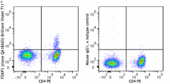 Brilliant Violet 711™ anti-human FOXP3 Recombinant Antibody (364705)