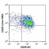 Purified anti-human/mouse/rat CD205 (DEC-205) Antibody (359202)
