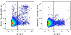 APC anti-mouse CX3CR1 Recombinant Antibody (153707)