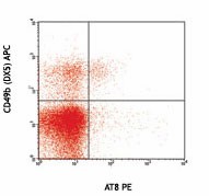 Purified anti-mouse Ly49G Antibody (137402)