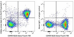 PerCP/Cyanine5.5 anti-mouse CD66a (CEACAM1a) Antibody (134512)
