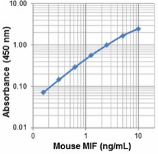 Purified anti-mouse MIF Antibody (532502)