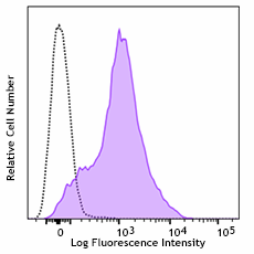 Brilliant Violet 711™ anti-mouse CD54 Antibody (116143)