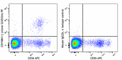 PE anti-human CD158b1/j (KIR2DL2/KIR2DS2) Antibody (317615)