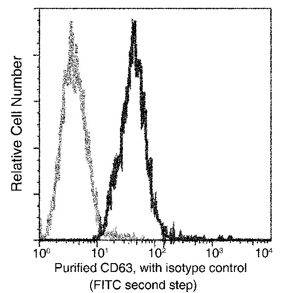 CD63/Tspan-30/Tetraspanin-30 Monoclonal Antibody (AN200007P)