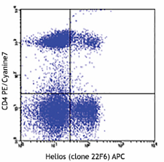 APC anti-mouse/human Helios Antibody (137221)