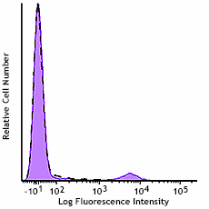 GMP PE/Cyanine7 anti-human CD19 Antibody (260154)