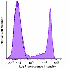 GMP PerCP anti-human CD8 Antibody (260176)