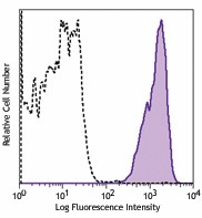 Biotin anti-mouse H-2Kb/H-2Db Antibody (114603)