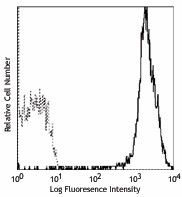 FITC anti-mouse H-2Kd/H-2Dd Antibody (114706)