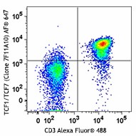 Alexa Fluor® 647 anti-TCF1 (TCF7) Antibody (655203)
