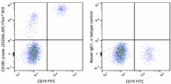 APC/Fire™ 810 anti-human CD185 (CXCR5) Antibody (356955)