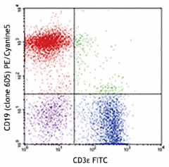 PE/Cyanine5 anti-mouse CD19 Antibody (115509)