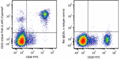 APC/Cyanine7 anti-human CD32 Antibody (303229)