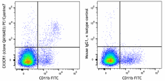 PE/Cyanine7 anti-mouse CX3CR1 Recombinant Antibody (153711)