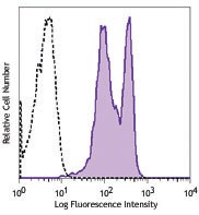 FITC anti-rat CD38 Antibody (250503)