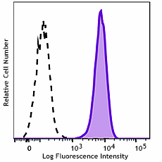 GMP PE/Dazzle™ 594 anti-human CD13 Antibody (260326)