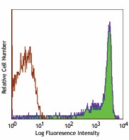 Purified anti-rat CD90/mouse CD90.1 (Thy1.1) Antibody (202501)