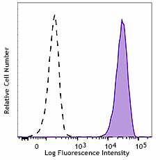 Brilliant Violet 711™ anti-human CD146 Antibody (361031)