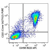 Purified anti-mouse CD20 Antibody (152102)