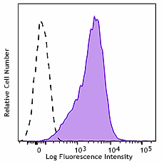 Purified anti-rat CD98 Antibody (206402)
