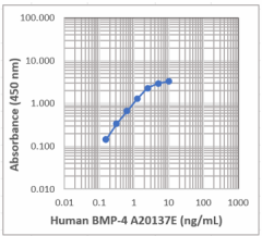 Purified anti-human BMP-4 Antibody (612158)