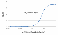 Purified anti-SARS-CoV-2 S Protein S1 Recombinant Antibody (938601)