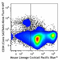 Alexa Fluor® 647 anti-mouse CD34 Antibody (152205)