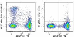 Purified anti-mouse CD183 (CXCR3) Antibody (155902)