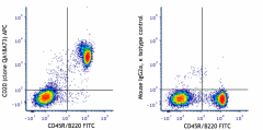 APC anti-mouse CD20 Recombinant Antibody (161403)