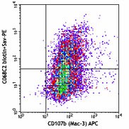 Biotin anti-mouse CD206 (MMR) Antibody (141713)