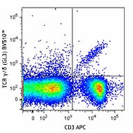 Brilliant Violet 510™ anti-mouse TCR γ/δ Antibody (118131)
