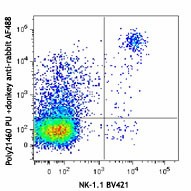 Alexa Fluor® 488 Donkey anti-rabbit IgG (minimal x-reactivity) Antibody (406416)
