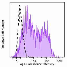 PE/Dazzle™ 594 anti-mouse CD25 Antibody (101919)