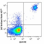 Brilliant Violet 421™ anti-human CD20 Antibody (302329)