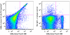 PE/Cyanine7 anti-mouse CD8b.2 Antibody (140415)