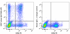 APC anti-human CD57 Recombinant Antibody (393305)